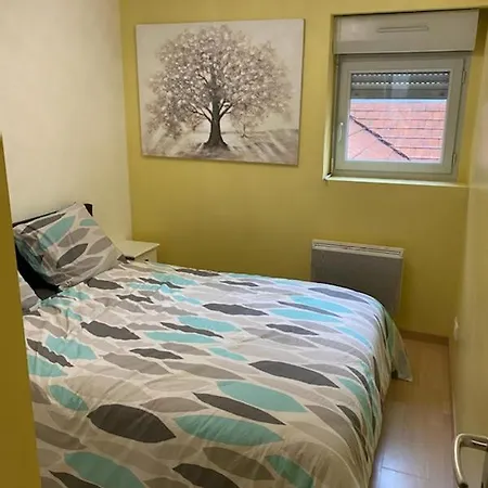 Bel Appartement Coeur De Ville Chalon-sur-Saône Exterior foto